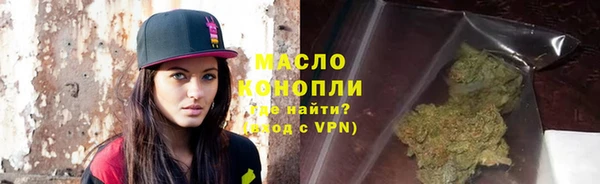 гашик Вяземский
