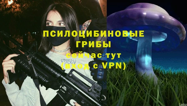 бошки Горно-Алтайск