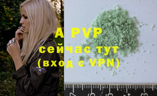 гашик Вяземский
