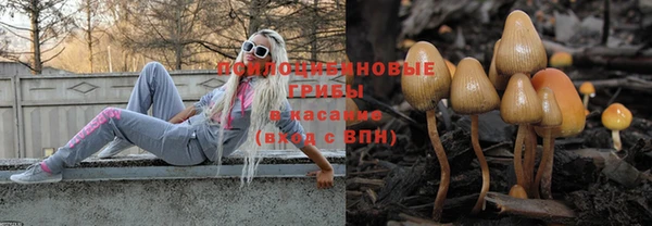 бошки Горно-Алтайск