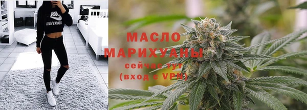 гашик Вяземский