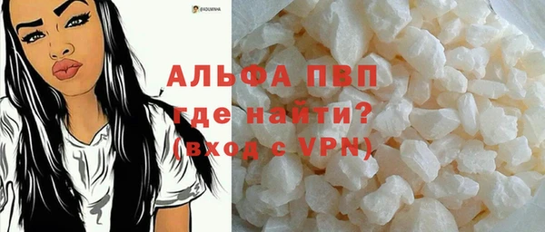 гашик Вяземский